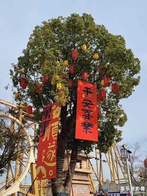 【喜迎双节】+融创乐园