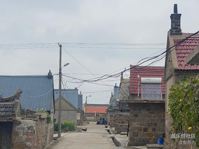 【冬日静谧】一角