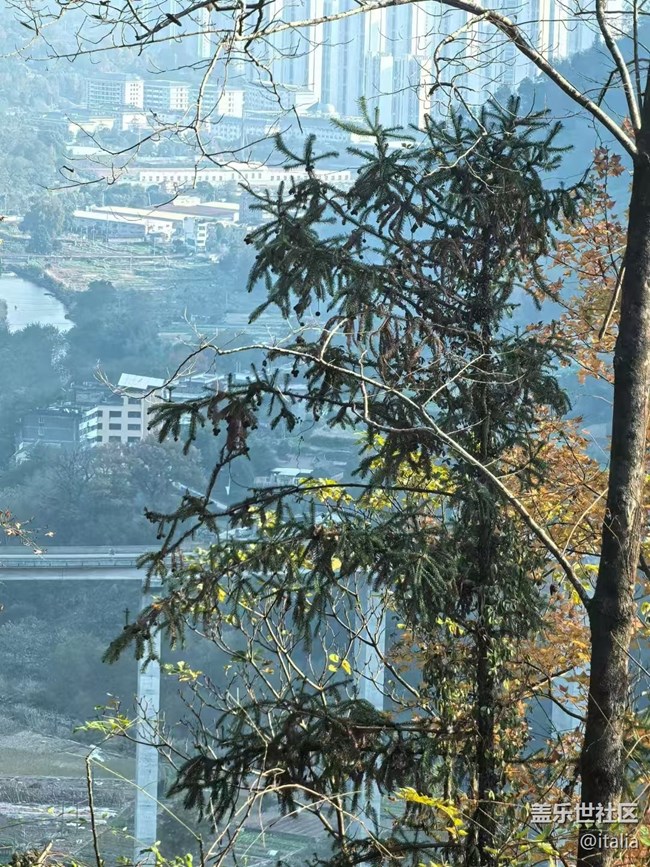 【Galaxy影像】#时光你慢些走+枫景