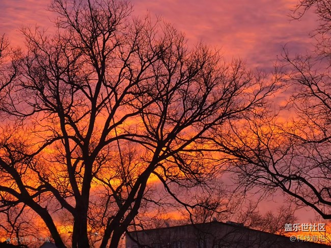 【岁末记忆】残阳如血