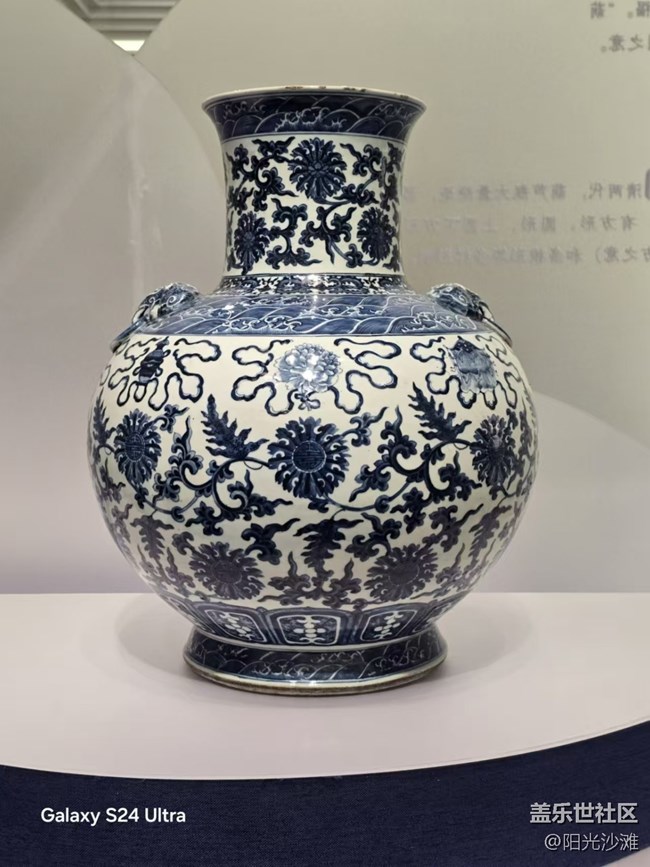 【岁末记忆】清代景德镇窑烧的瓷尊