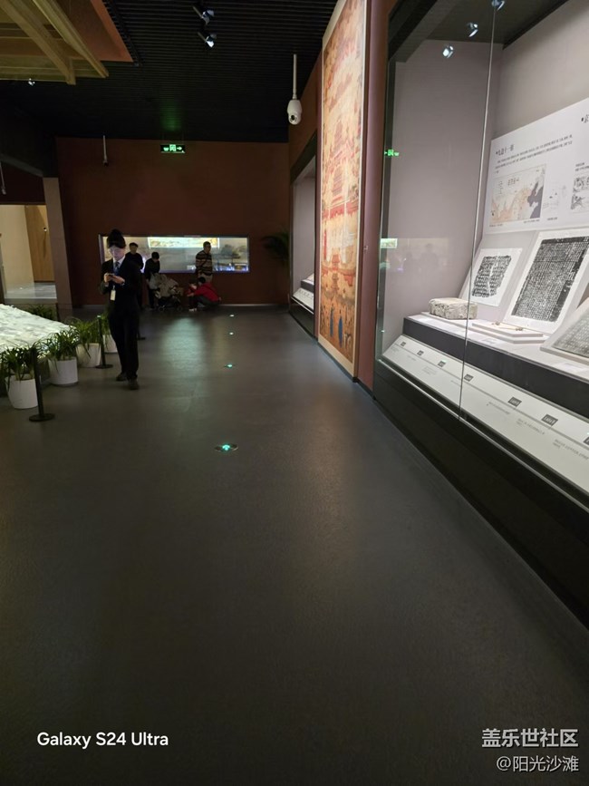 【岁末记忆】观展的女人