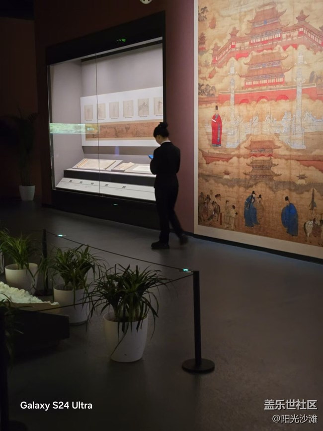 【岁末记忆】观展的女人