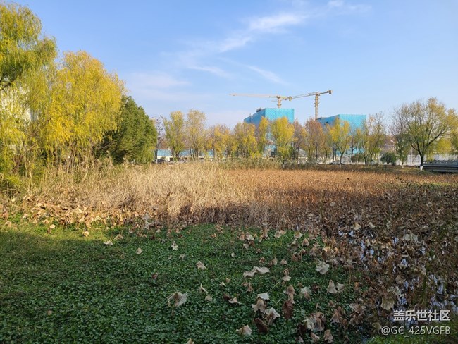 【关于蜀地的冬】冬天景色