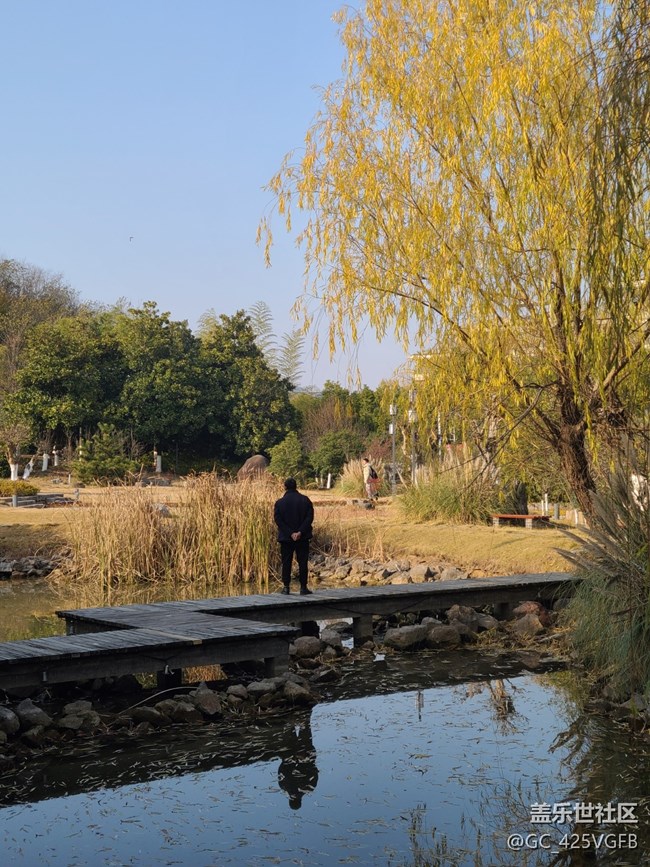 【关于蜀地的冬】冬天景色