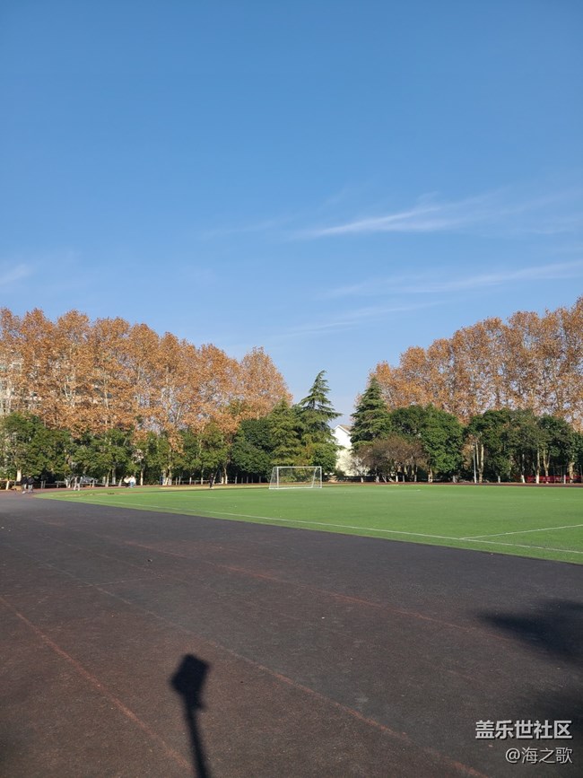【2024再见】阳光明媚