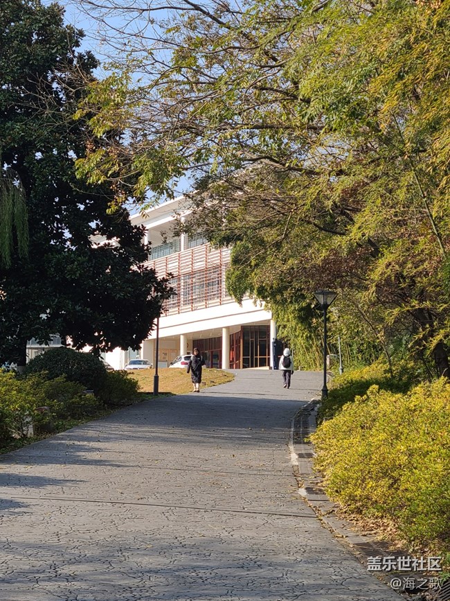 【岁末记忆】冬日漫步