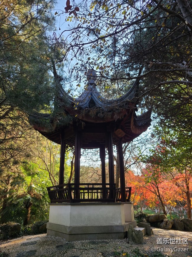 【2024再见】美丽园林