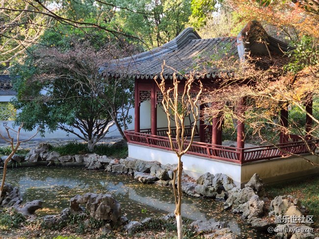 【2024再见】美丽园林