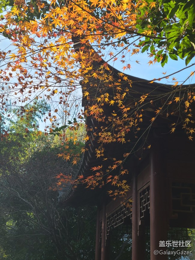 【岁末记忆】湖边写生