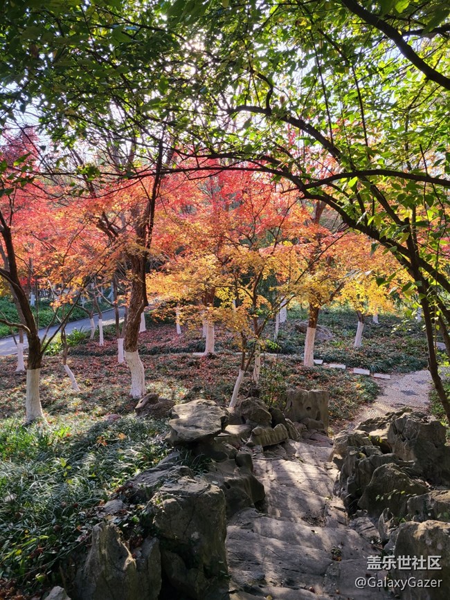 【2024再见】美丽园林