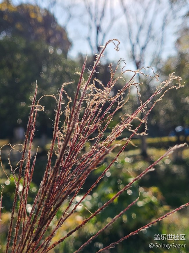 【2024再见】美丽园林