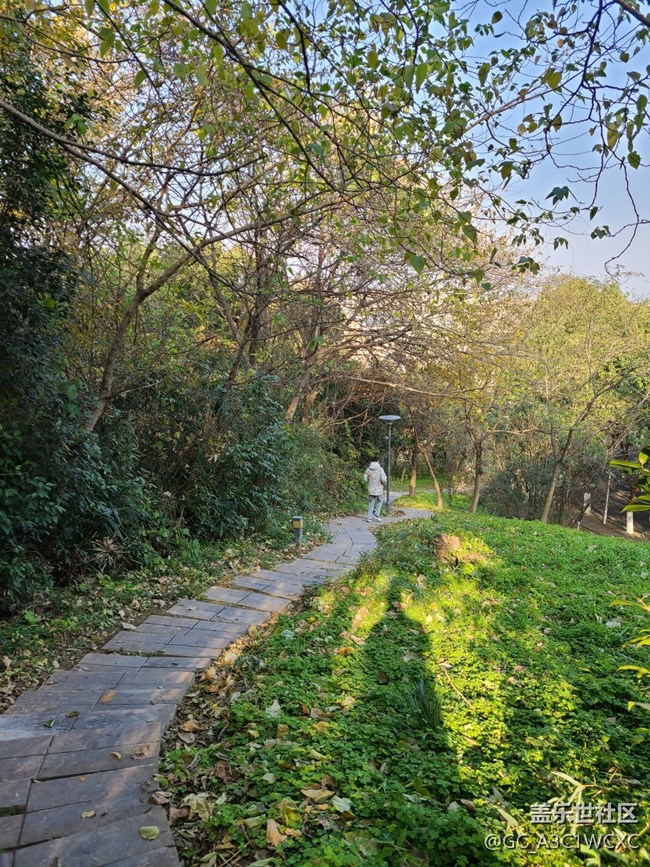 【初冬之美】爬山