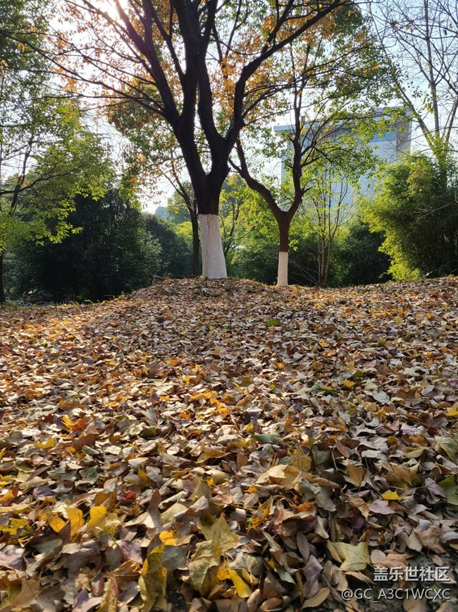 【初冬之美】爬山