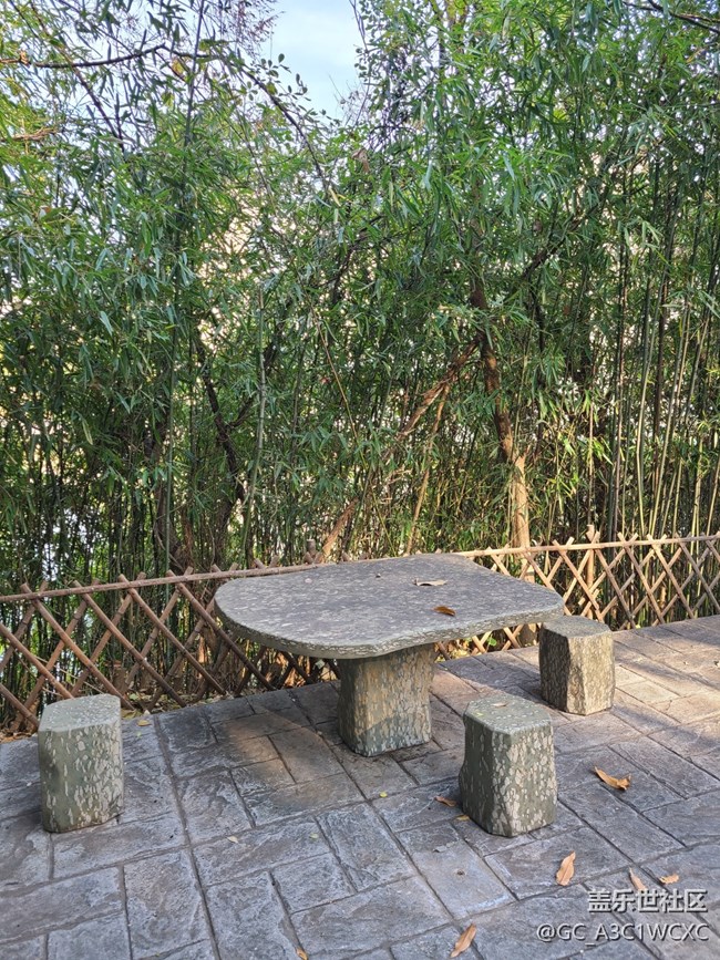 【初冬之美】爬山