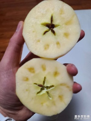 【喜迎双节】+24年last周日～羊肉汤