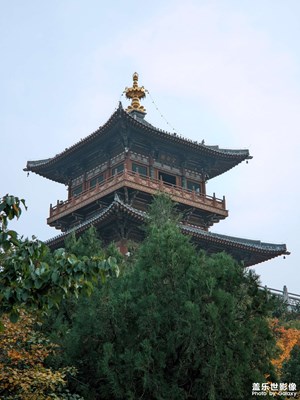 出游