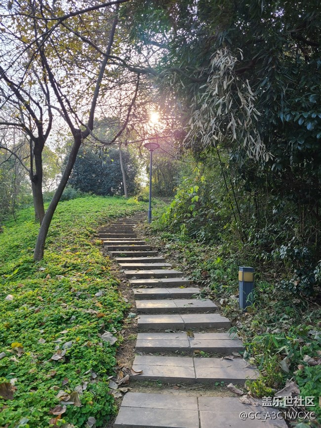 【初冬之美】爬山