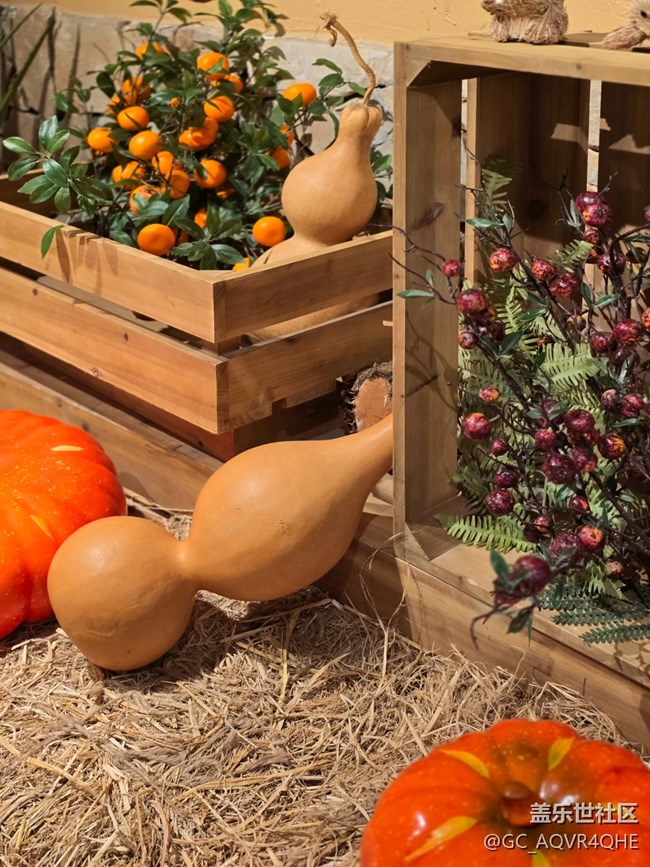 【望仙谷城市店线下摄影活动】+望仙谷城市店