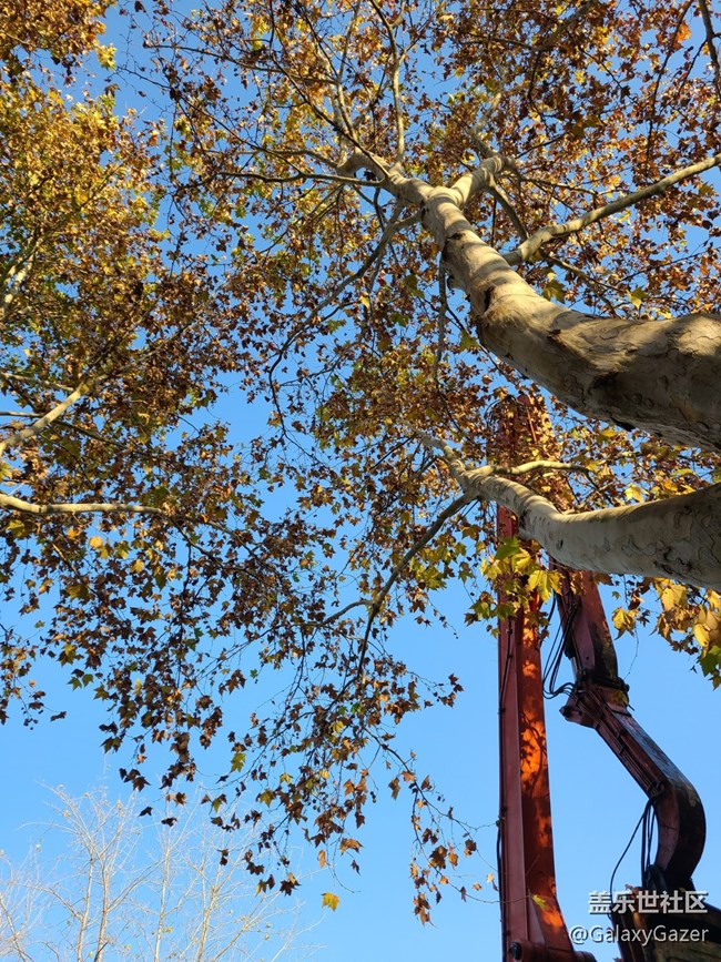 【Galaxy影像】#时光你慢些走+时光匆匆