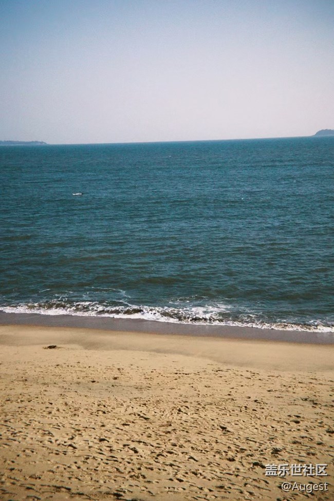 【我的年度总结】sea