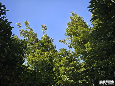 【喜迎双节】+更加美好