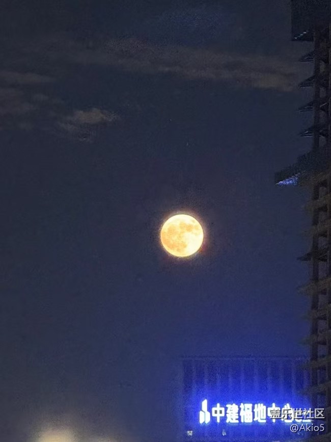 【我的年度总结】2024夏天