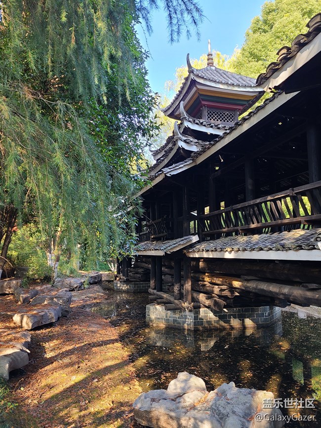 【初冬之美】冬天之美