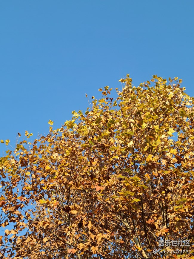 【Galaxy影像】#时光你慢些走+时光匆匆