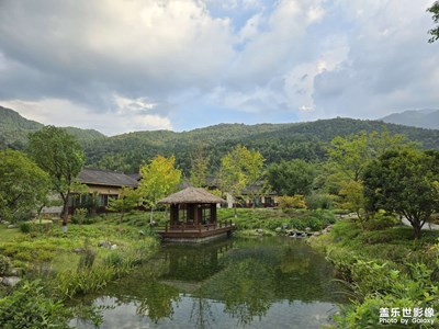 手机里的风景照