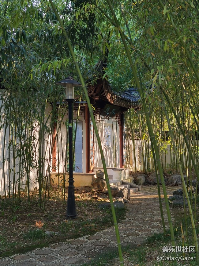 【Galaxy影像】#时光你慢些走+时光匆匆