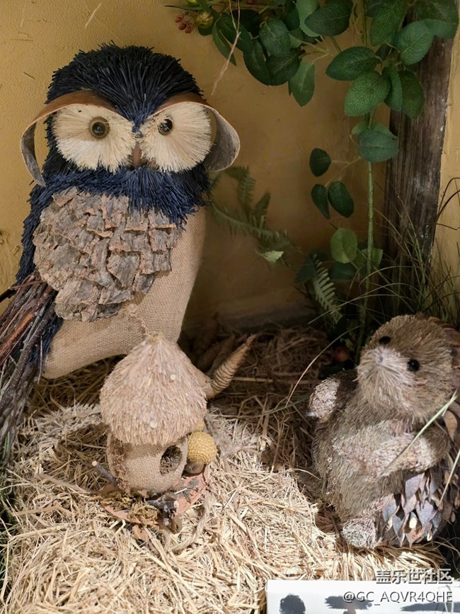 【望仙谷城市店线下摄影活动】+望仙谷城市店