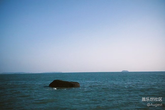 【我的年度总结】sea