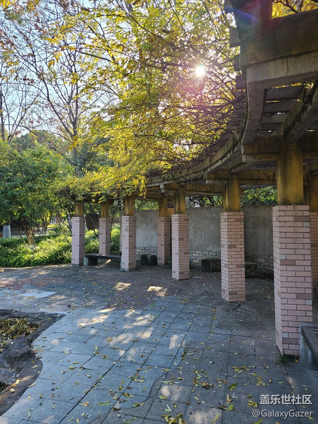 【最美的角落】美丽角落