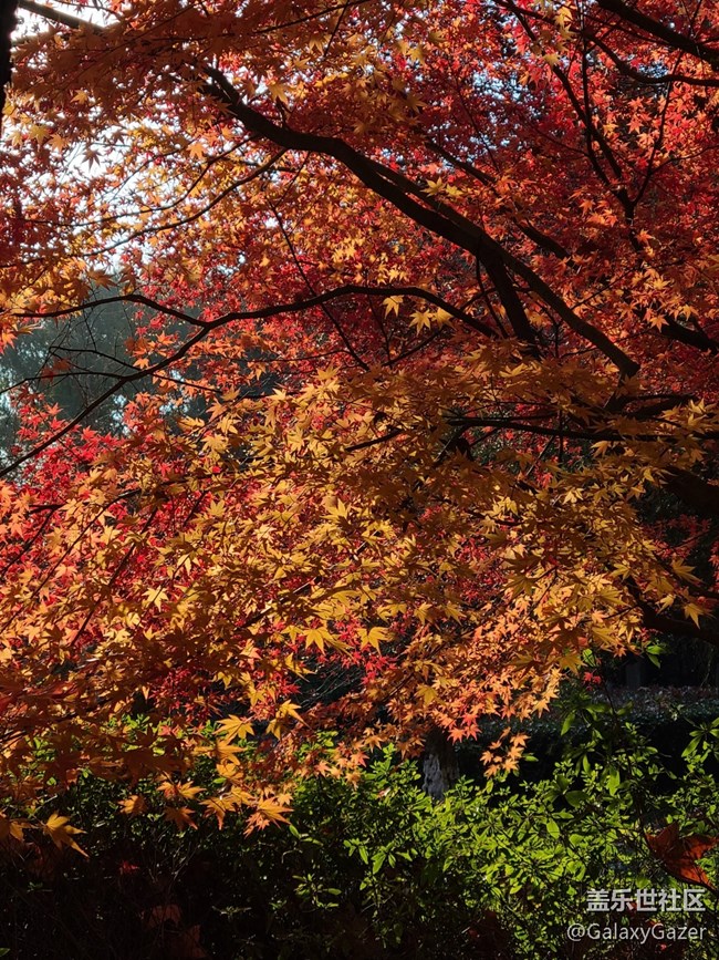 【Galaxy影像】#时光你慢些走+时光匆匆