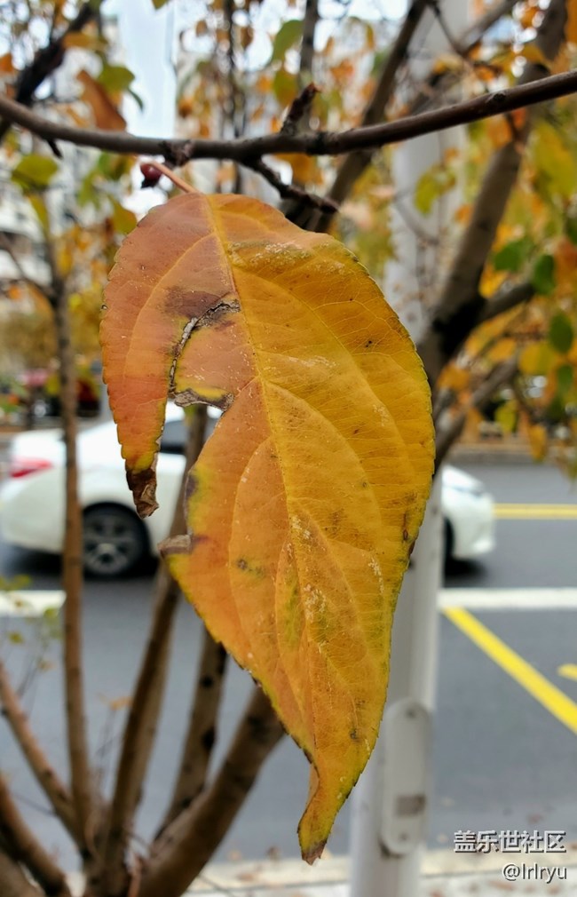 【Galaxy影像】#时光你慢些走+感受自然的流转