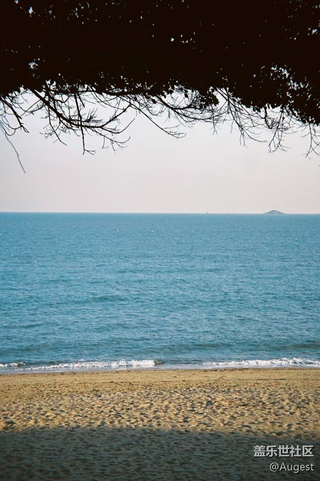 【我的年度总结】sea