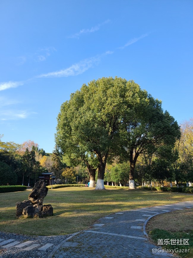 【最美的角落】美丽角落