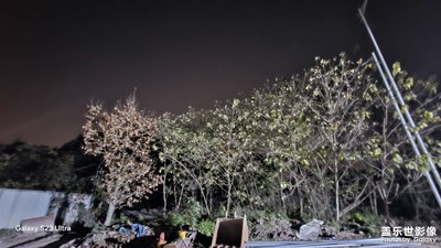【喜迎双节】+加班