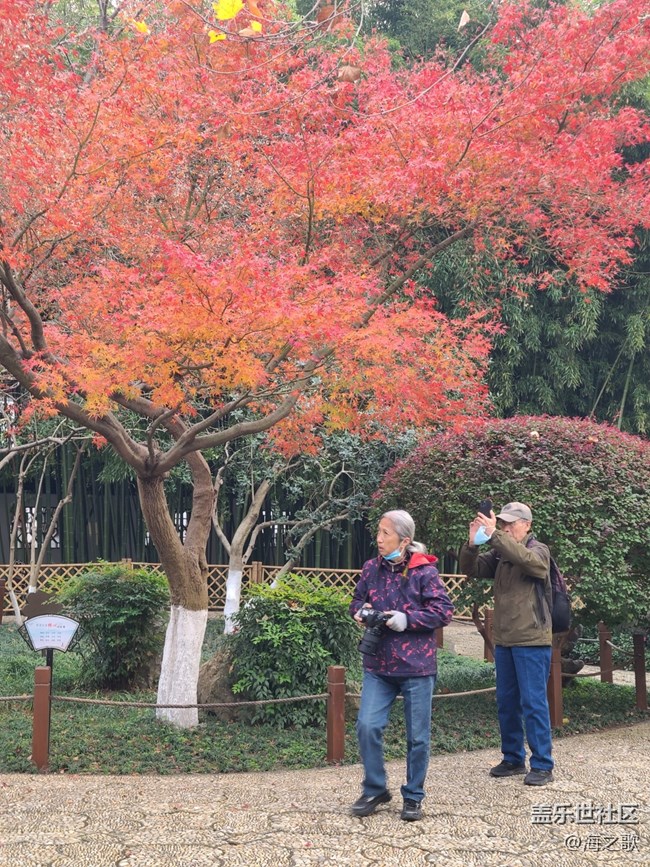 【关于蜀地的冬】冬日景色