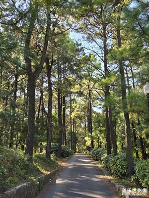 手机里的风景照