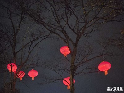 【喜迎双节】+红红火火