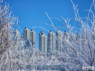 【新年好】雾凇与楼宇