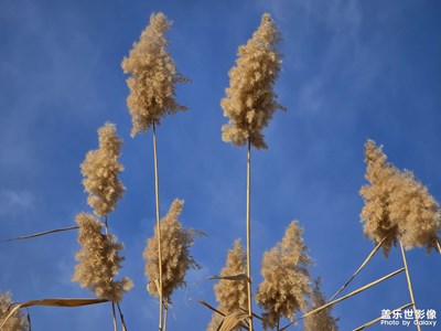 【新年好】+乌鲁木齐南湖广场