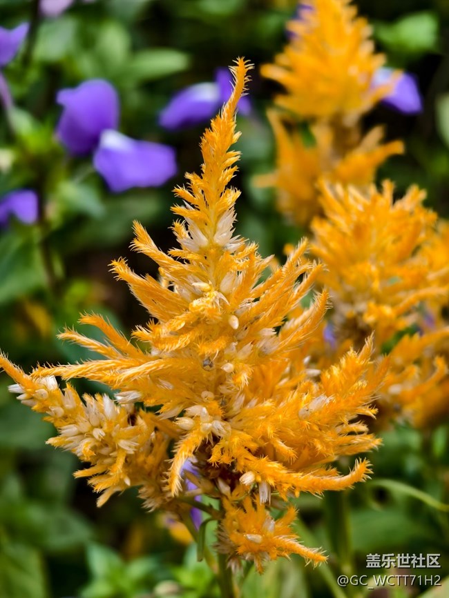 【2025你好】更努力