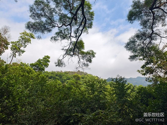 【2025你好】更努力