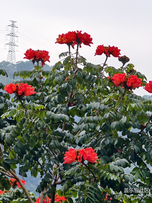 【2025你好】更努力