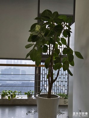 随手一拍