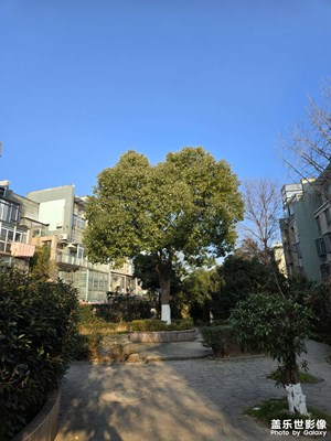 随手拍