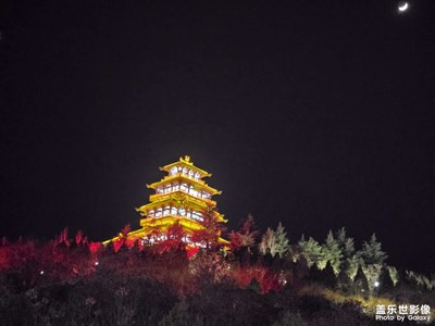 【新年好】+夜景随拍